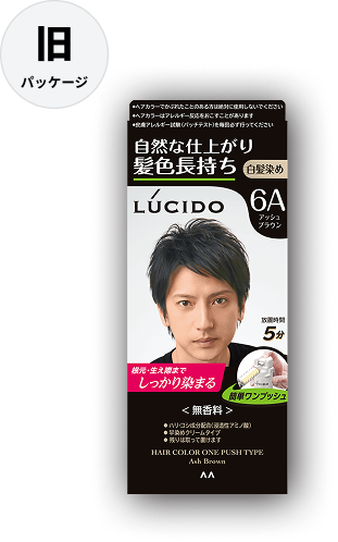 ワンプッシュケアカラー アッシュブラウン｜白髪染め｜商品情報